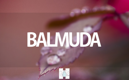 バルミューダ(BALMUDA)の加湿器