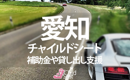 愛知県のチャイルドシート補助金制度