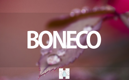 ボネコ(BONECO)の加湿器