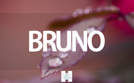ブルーノ(BRUNO)の加湿器