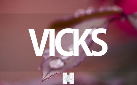 ヴィックス(VICKS)の加湿器