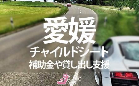 愛媛県のチャイルドシート補助金制度